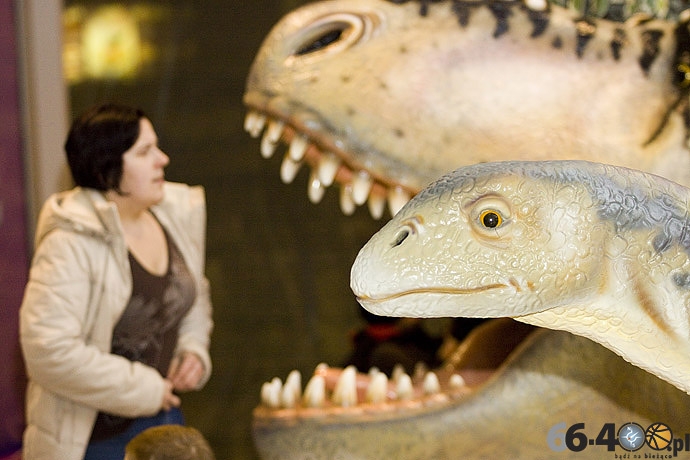 21/23 Gorzów: CH Panorama - Wielka Wystawa Powrót Dinozaurów