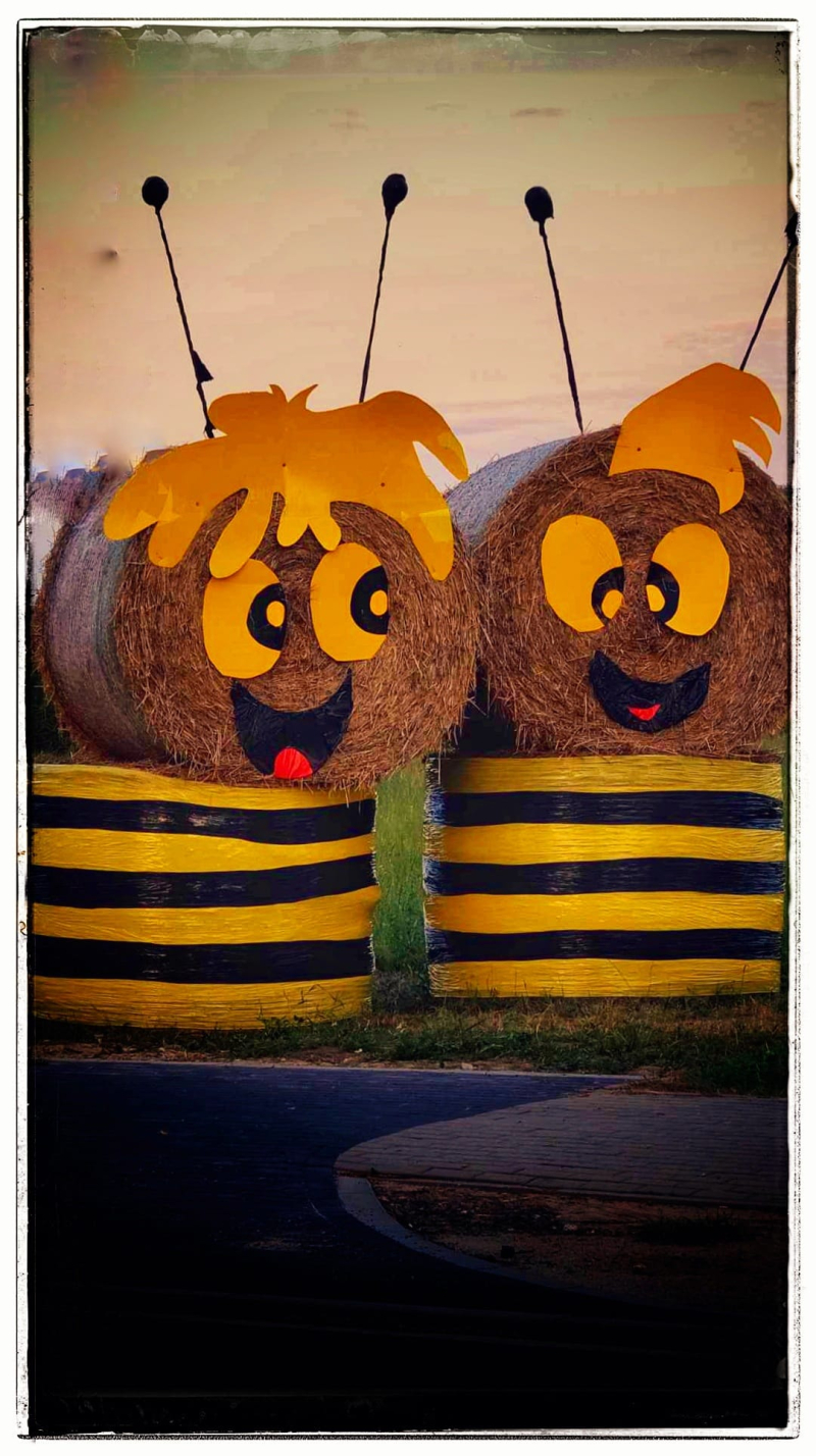 13/15 Witacze dożynkowe wokół Gorzowa