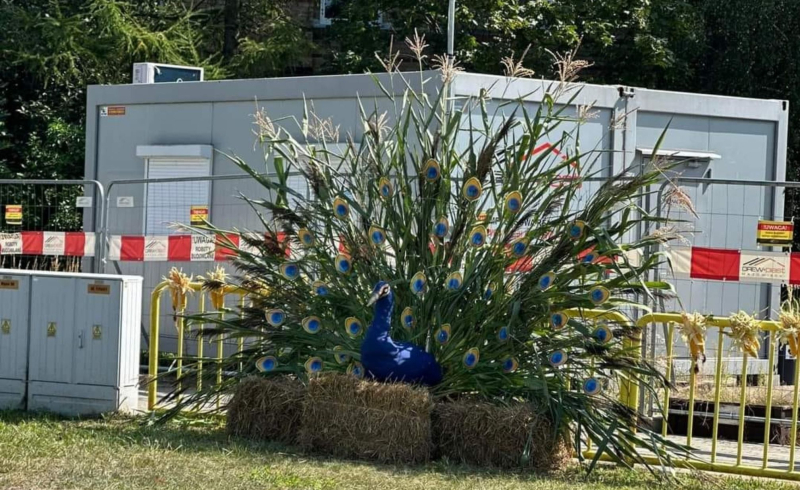 14/15 Witacze dożynkowe wokół Gorzowa