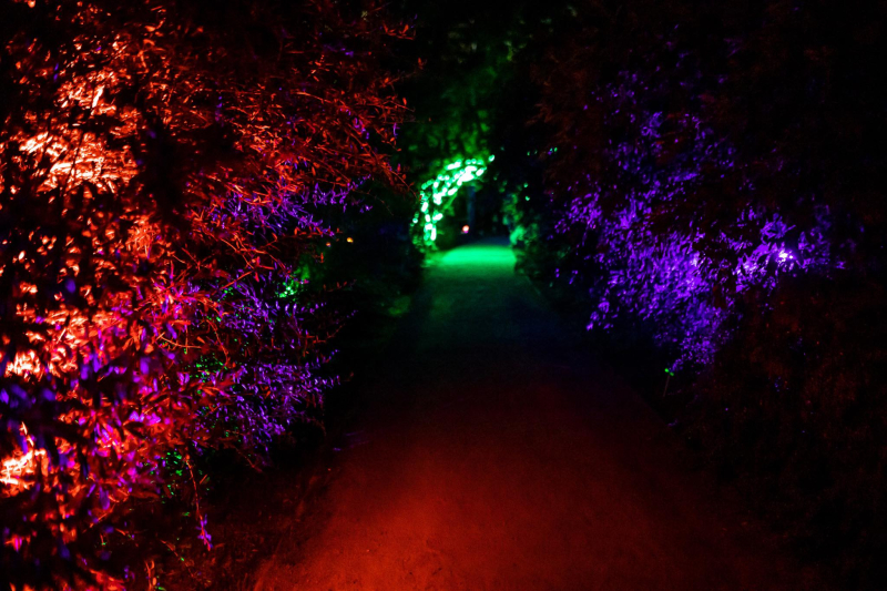 4/25 Magiczne spektakle w bajkowej oprawie świetlnej