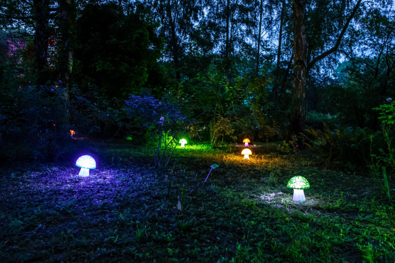 8/25 Magiczne spektakle w bajkowej oprawie świetlnej