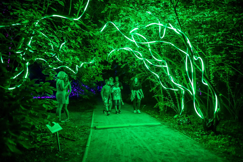 10/25 Magiczne spektakle w bajkowej oprawie świetlnej