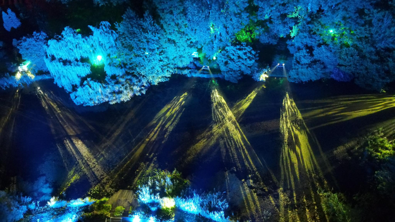 11/25 Magiczne spektakle w bajkowej oprawie świetlnej