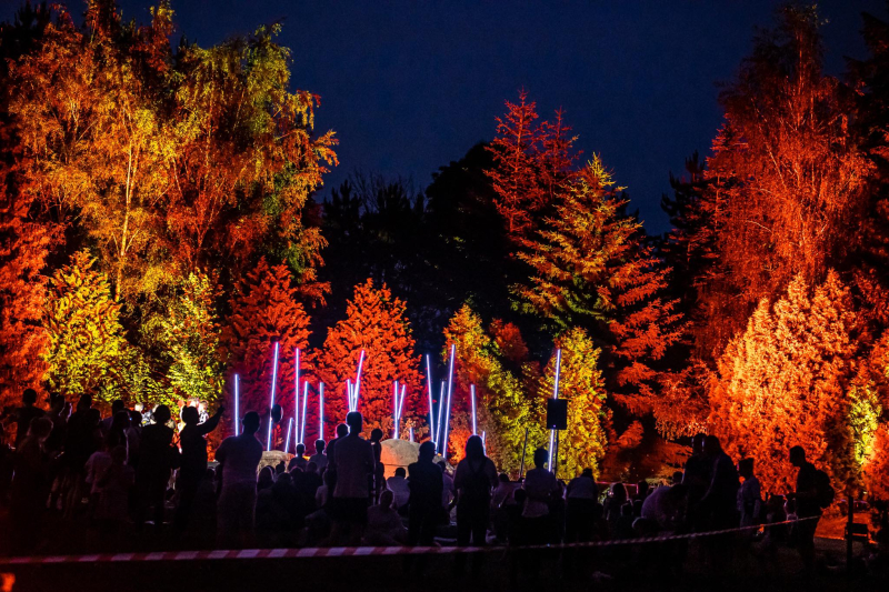 12/25 Magiczne spektakle w bajkowej oprawie świetlnej