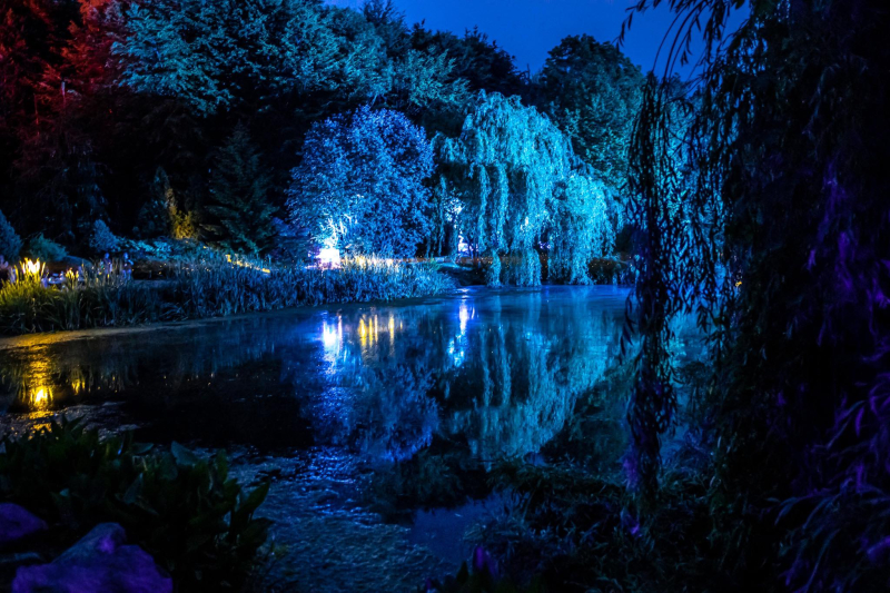 14/25 Magiczne spektakle w bajkowej oprawie świetlnej