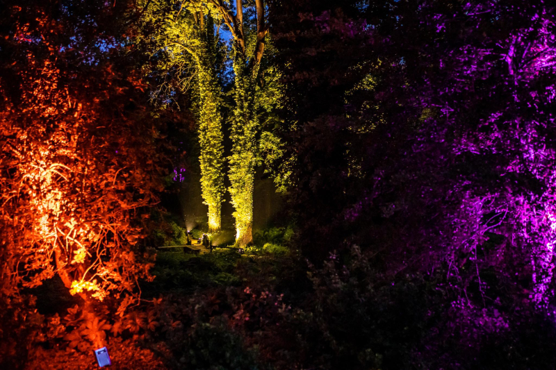 15/25 Magiczne spektakle w bajkowej oprawie świetlnej