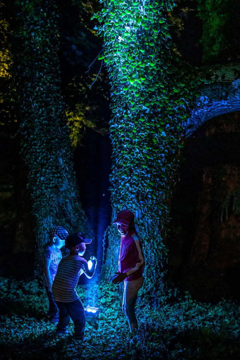 18/25 Magiczne spektakle w bajkowej oprawie świetlnej