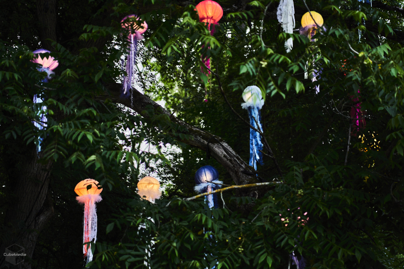 25/25 Magiczne spektakle w bajkowej oprawie świetlnej