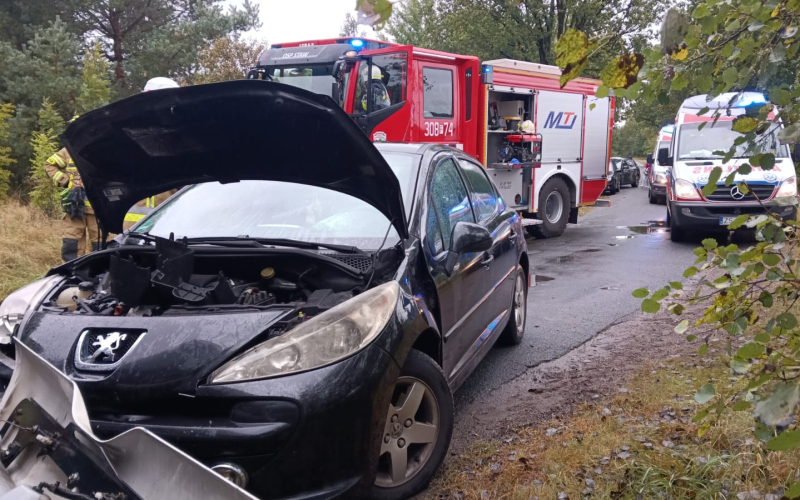 4/4 Czołówka peugeota i autobusu 