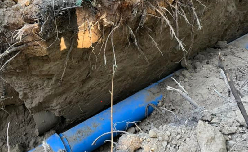 3/6 Zniszczone drzewa w parku Kopernika