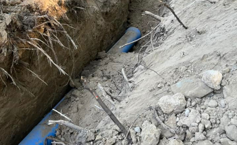 4/6 Zniszczone drzewa w parku Kopernika