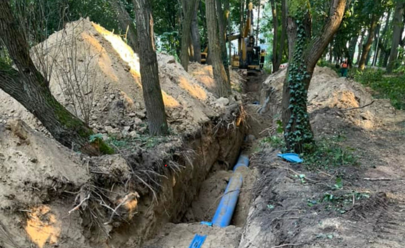 5/6 Zniszczone drzewa w parku Kopernika