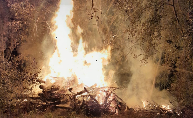 7/7 Seria podpaleń w Gorzowie