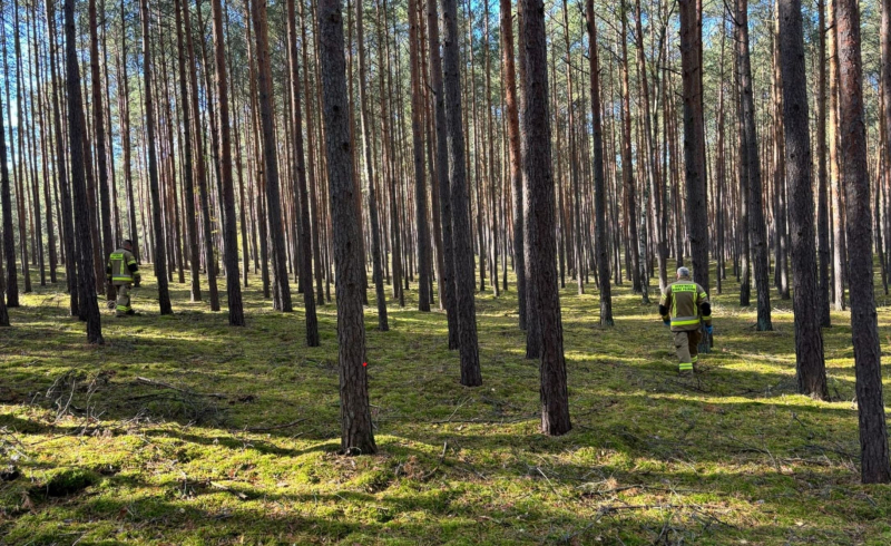4/12 Poszukiwania zaginionego grzybiarza w Brzozowcu