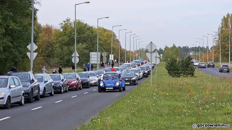 13/13 Tłum kibiców na meczu z Jastrzębskim Węglem