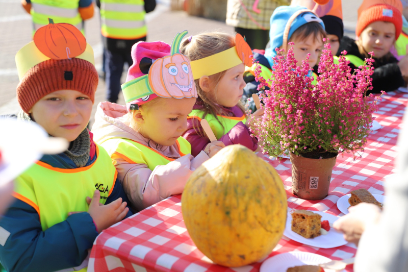 7/7 Święto dyni i renety landsberskiej