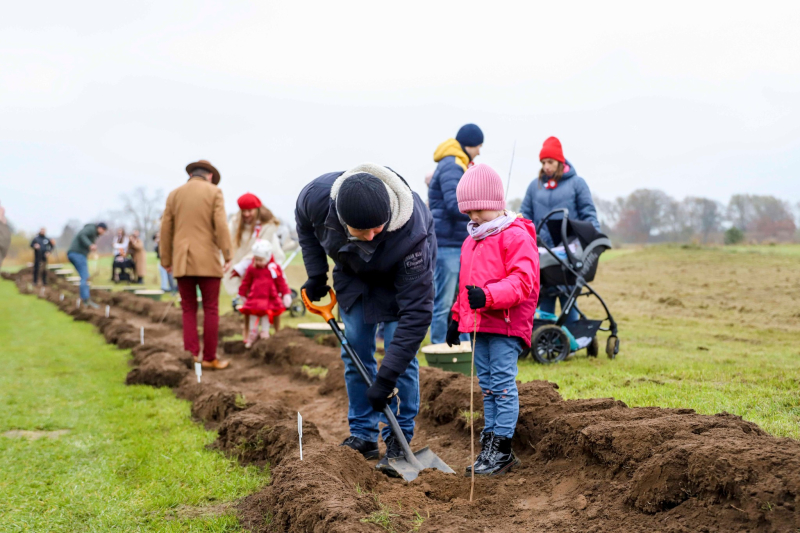 4/13 Akcja sadzenia drzew RośnijMy w Gorzowie