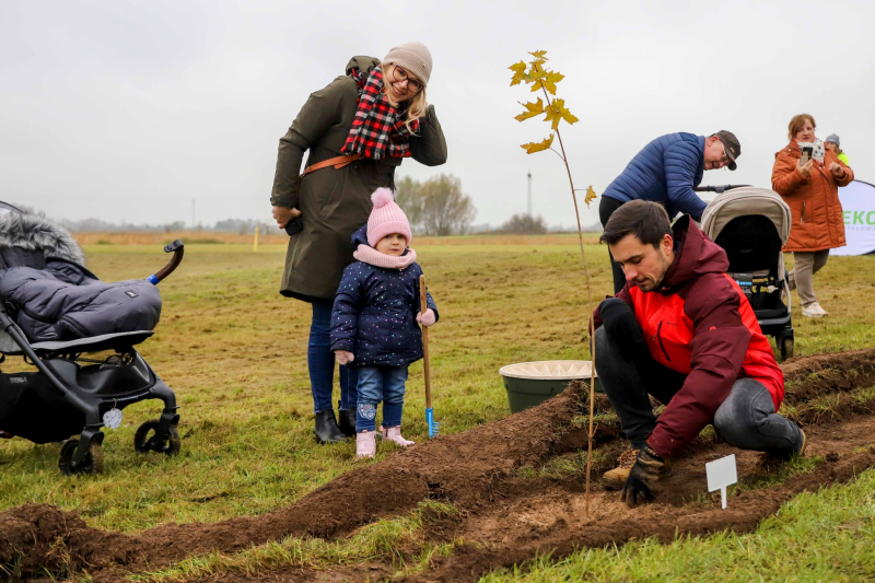 12/13 Akcja sadzenia drzew RośnijMy w Gorzowie