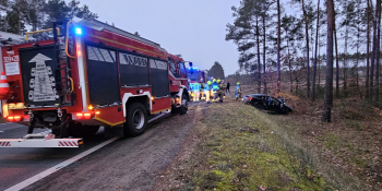 Wypadek na DK22. Kierujący lexusem wjechał do rowu