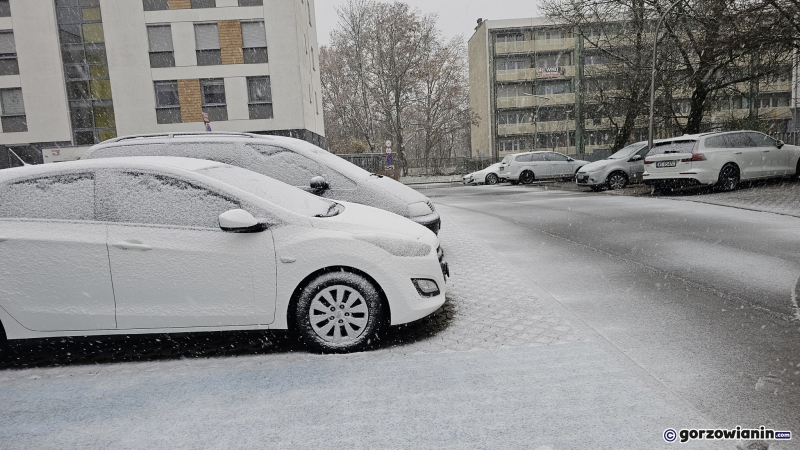 2/15 Pierwszy śnieg w Gorzowie