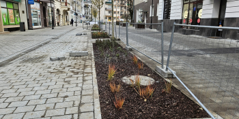 Prace przy ul. Wełniany Rynek