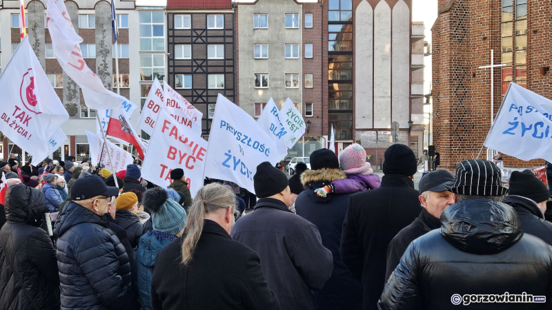 15/15 „Stop deprawacji polskich dzieci” – manifestacja na Starym Rynku w Gorzowie
