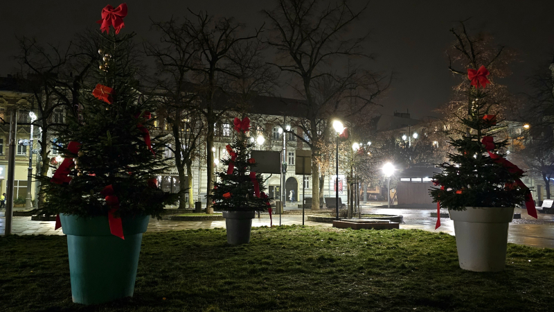 12/13 Świąteczne iluminacje. Tak Gorzów błyszczy na święta