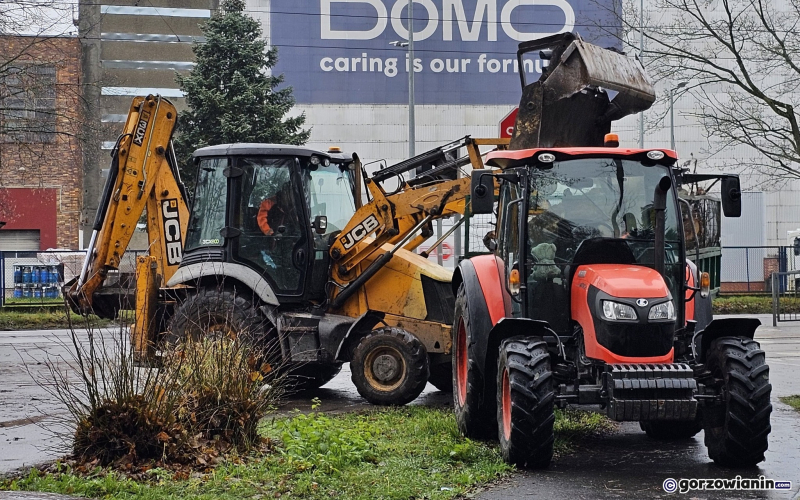 3/15 Wycinka drzew przy ul. Walczaka w Gorzowie