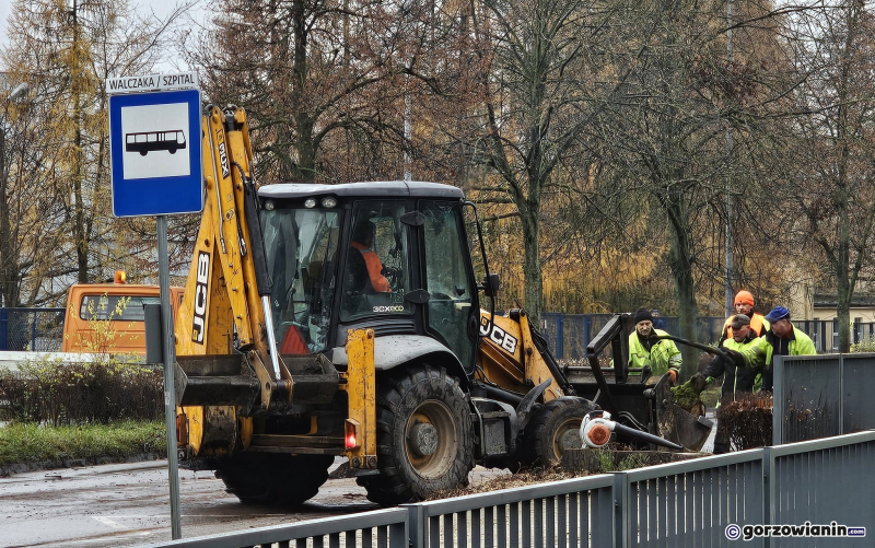 6/15 Wycinka drzew przy ul. Walczaka w Gorzowie