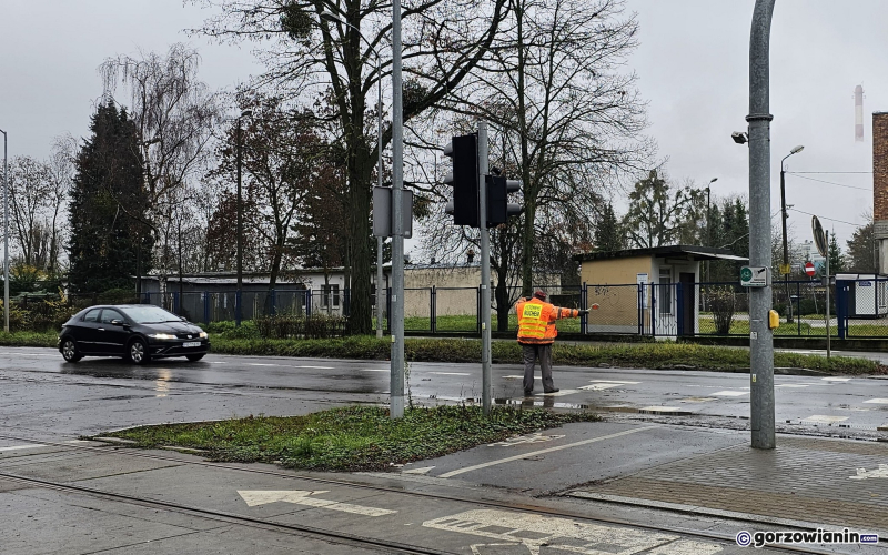 7/15 Wycinka drzew przy ul. Walczaka w Gorzowie