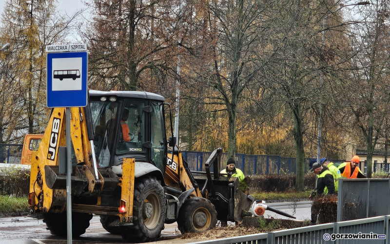 9/15 Wycinka drzew przy ul. Walczaka w Gorzowie