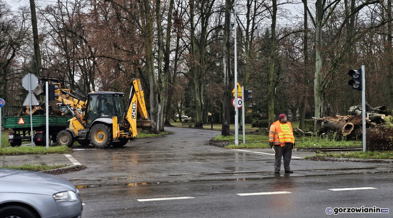 12/15 Wycinka drzew przy ul. Walczaka w Gorzowie