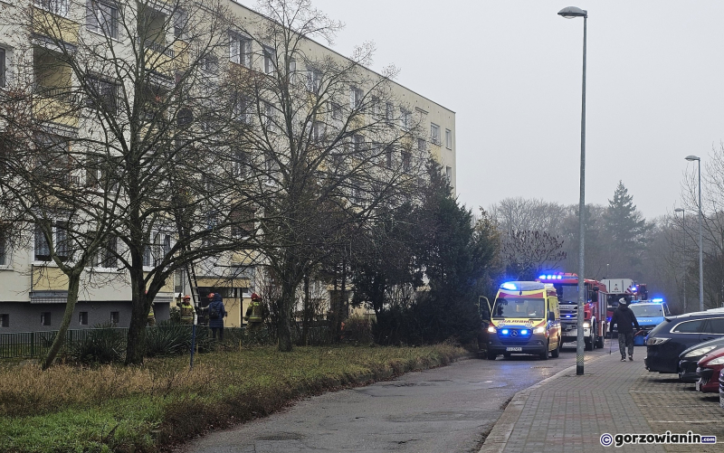 3/5 Akcja służb przy ul. Pułaskiego w Gorzowie