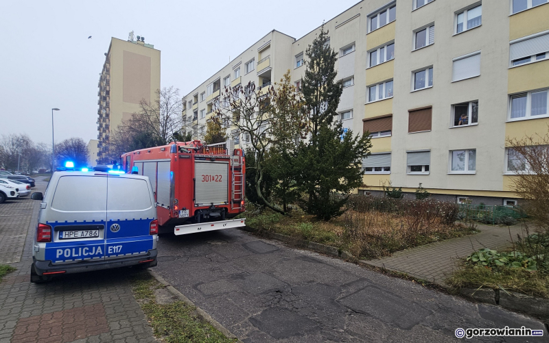 4/5 Akcja służb przy ul. Pułaskiego w Gorzowie