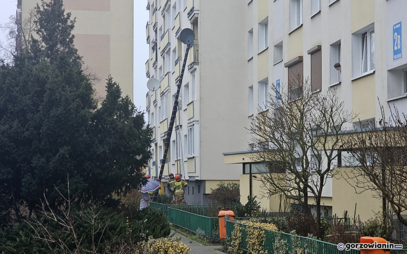 5/5 Akcja służb przy ul. Pułaskiego w Gorzowie