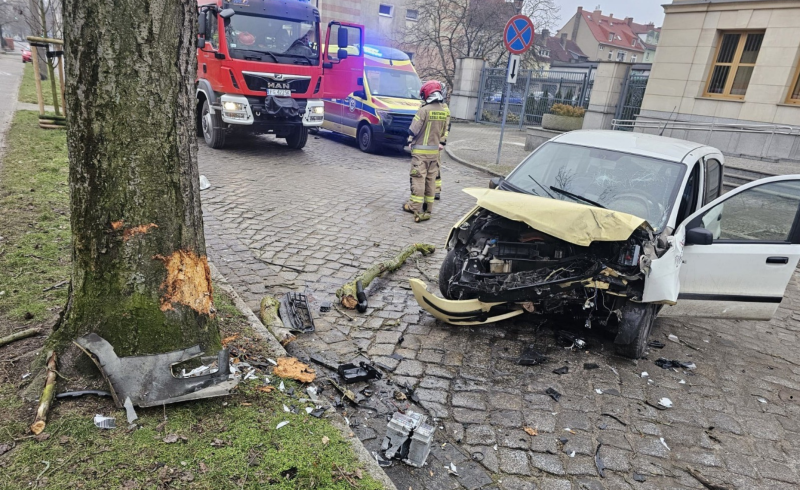 3/3 Kierowca pizzerii uderzył fiatem w drzewo na Dąborwskiego
