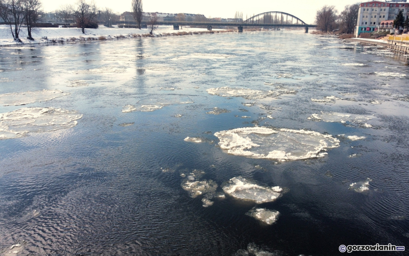 3/8 Śryż na rzece Warcie w Gorzowie