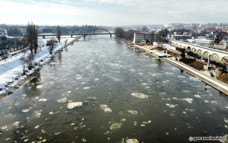 6/8 Śryż na rzece Warcie w Gorzowie