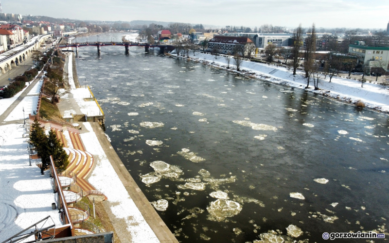 7/8 Śryż na rzece Warcie w Gorzowie