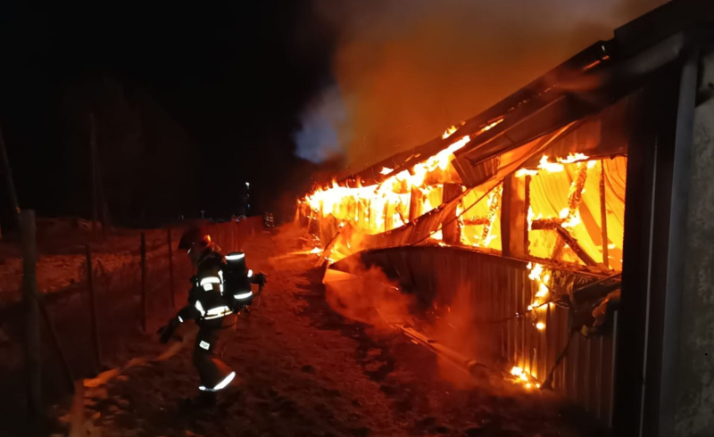 4/9 Pożar kurnika w Gliniku