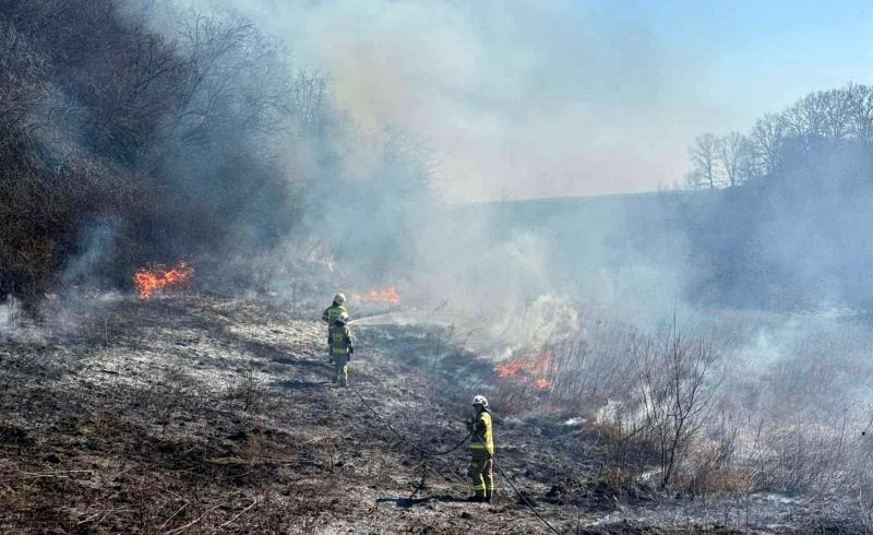 5/14 Pożary traw w okolicach Gorzowa