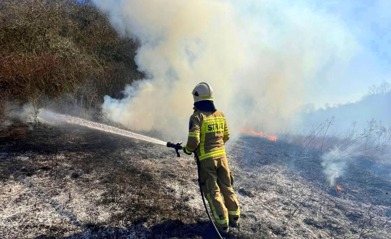 6/14 Pożary traw w okolicach Gorzowa