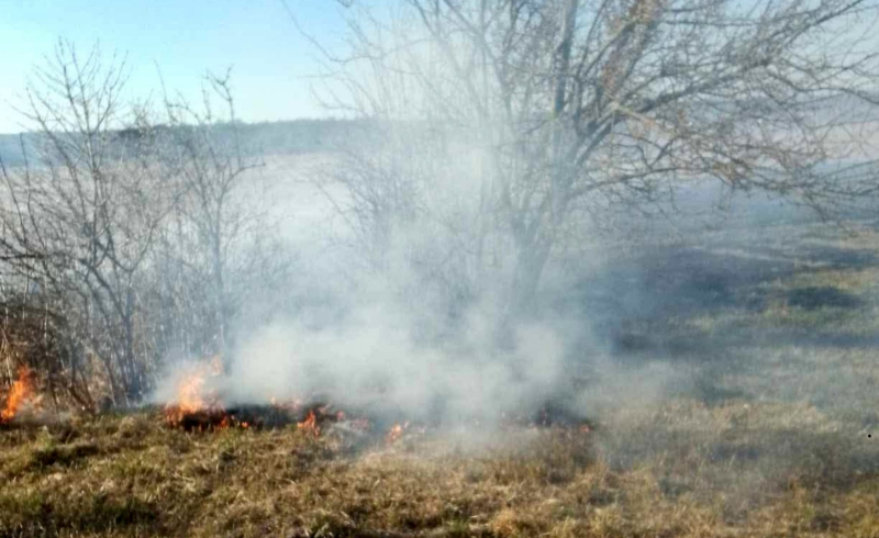 8/14 Pożary traw w okolicach Gorzowa