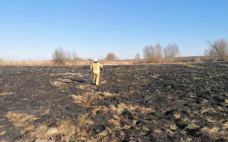 10/14 Pożary traw w okolicach Gorzowa