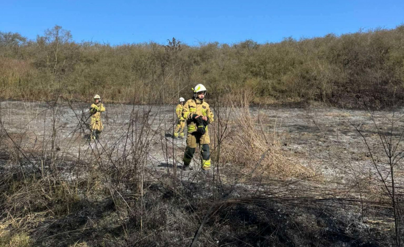 11/14 Pożary traw w okolicach Gorzowa