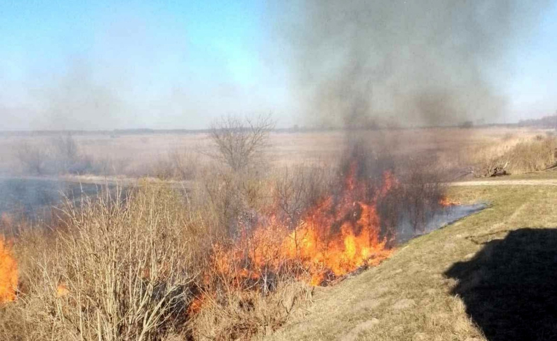 14/14 Pożary traw w okolicach Gorzowa