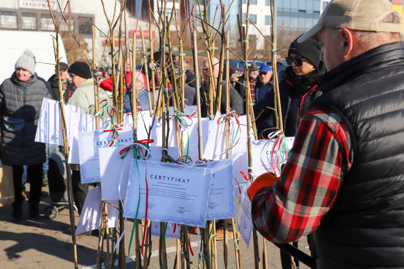 4/27 Wiosna na ryneczku przy św. Jerzego w Gorzowie