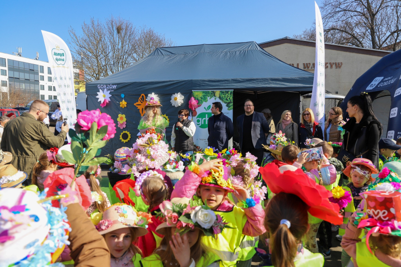 6/27 Wiosna na ryneczku przy św. Jerzego w Gorzowie