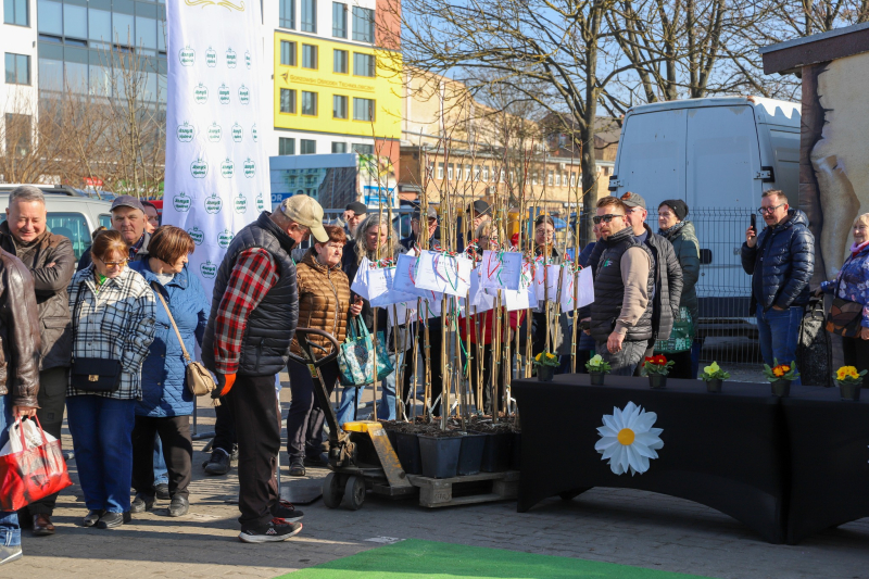 14/27 Wiosna na ryneczku przy św. Jerzego w Gorzowie