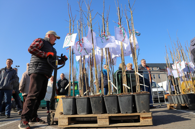 23/27 Wiosna na ryneczku przy św. Jerzego w Gorzowie
